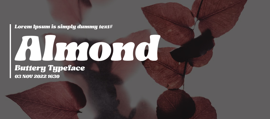 Almond Buttery Font