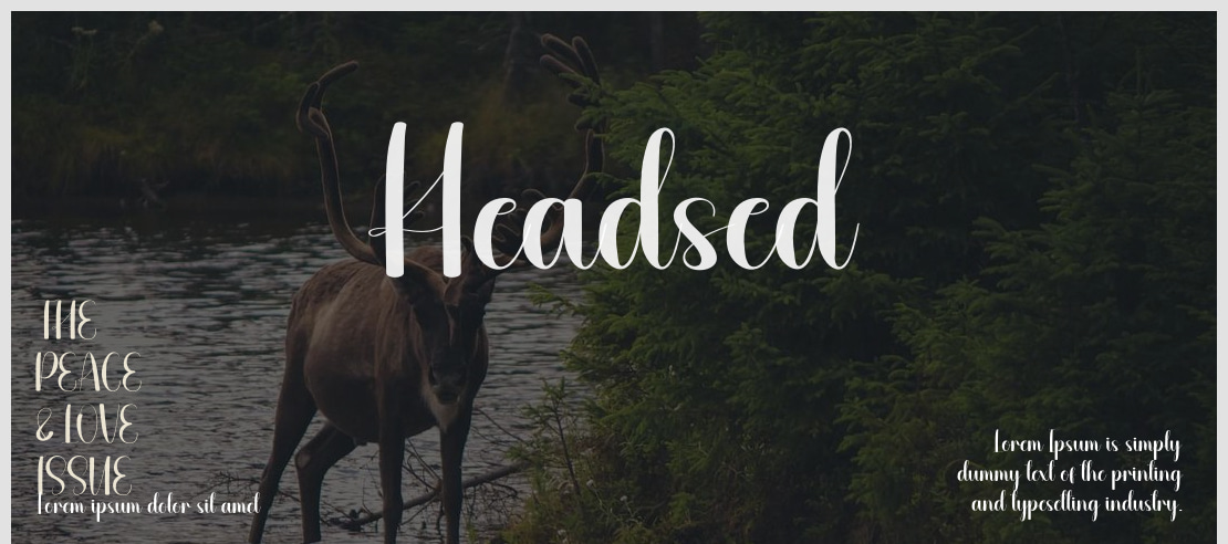 Headsed Font