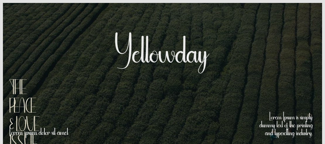 Yellowday Font