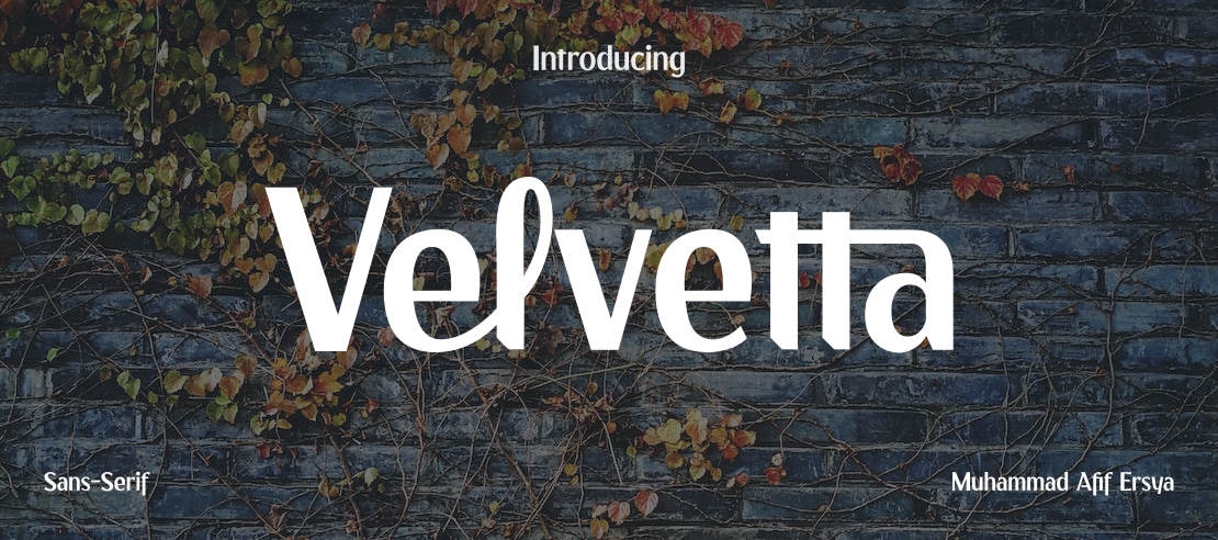 Velvetta Font