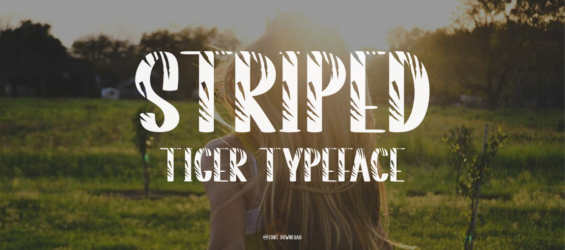 Striped Tiger Font