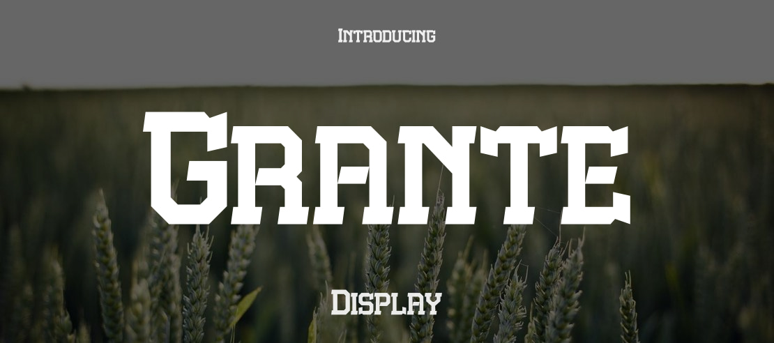 Grante Font