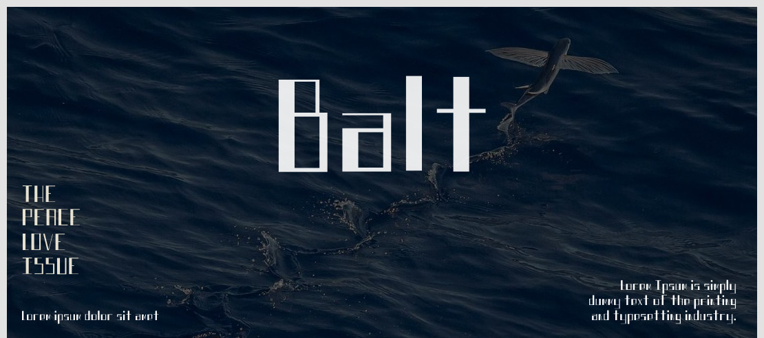 Balt Font