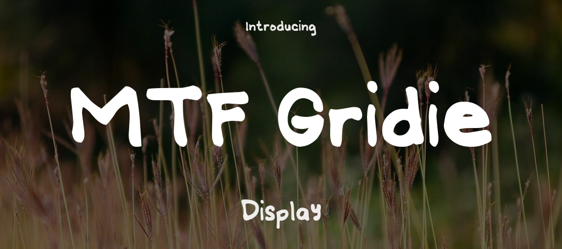 MTF Gridie Font