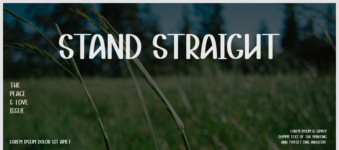 Stand Straight Font