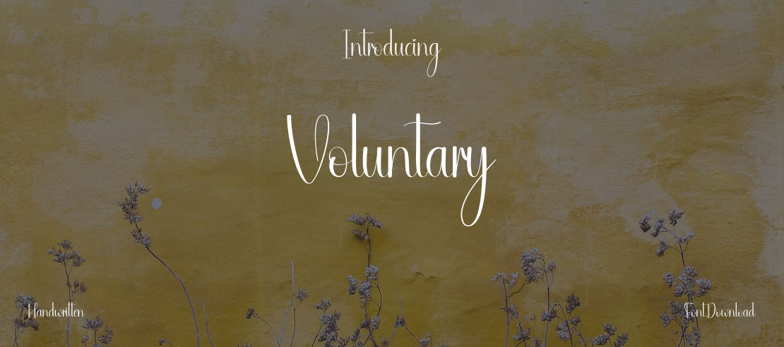Voluntary Font
