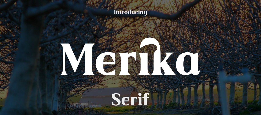 Merika Font