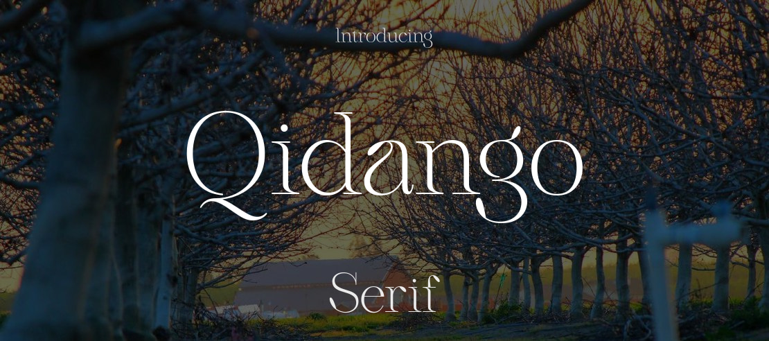 Qidango Font