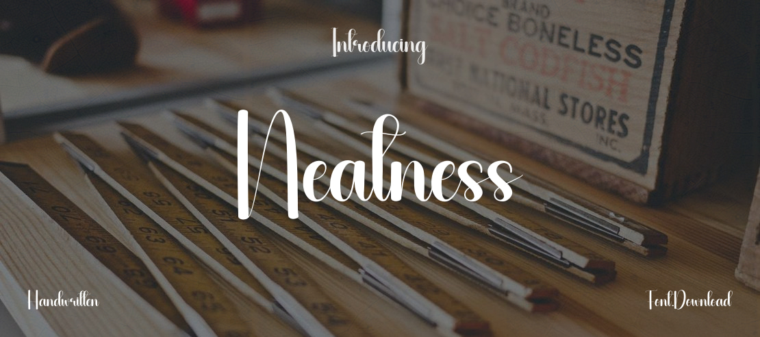 Neatness Font