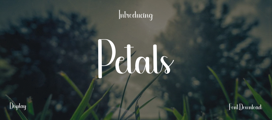 Petals Font