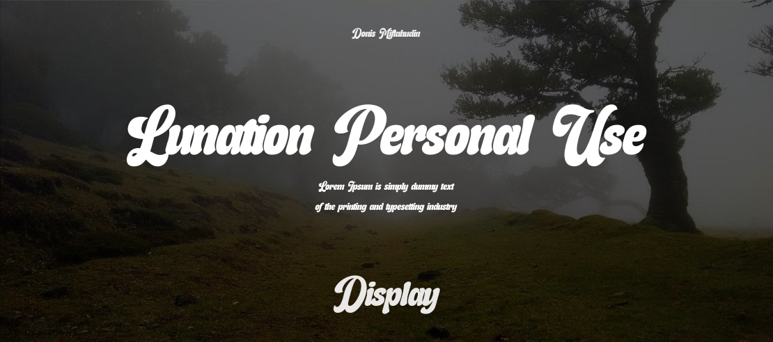 Lunation Personal Use Font