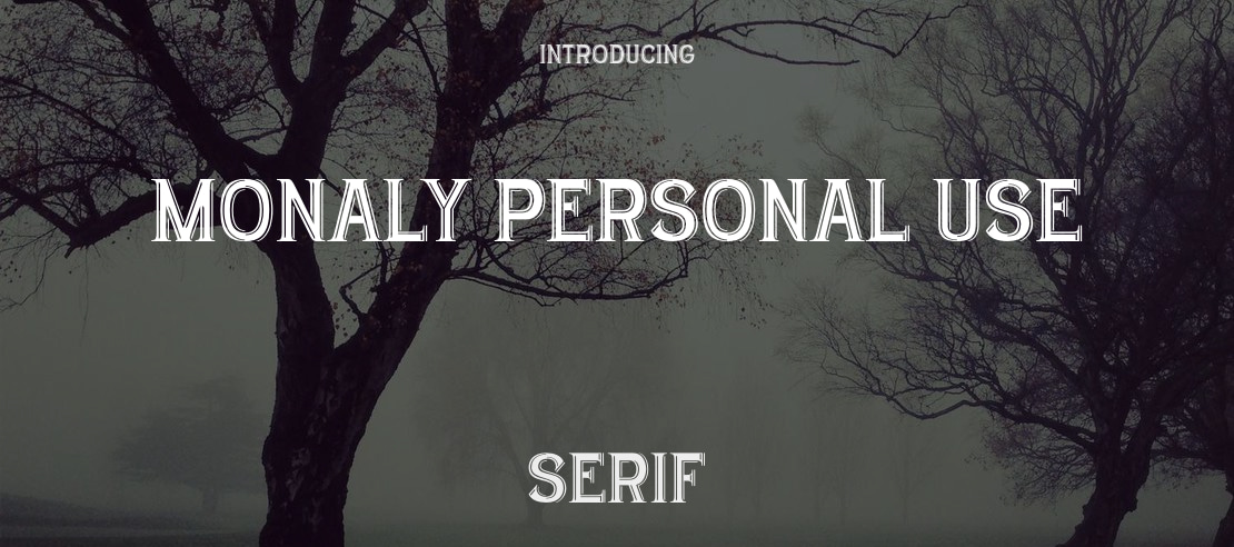 Monaly Personal Use Font