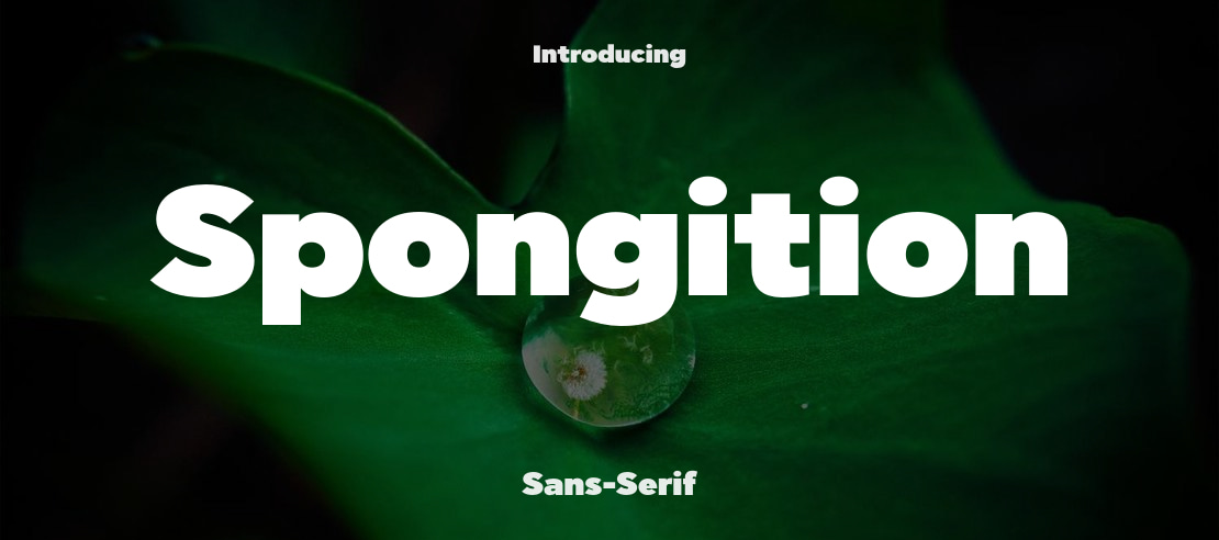 Spongition Font Family