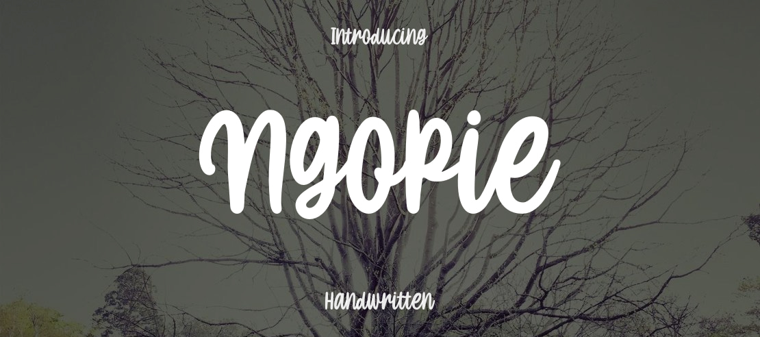 Ngopie Font