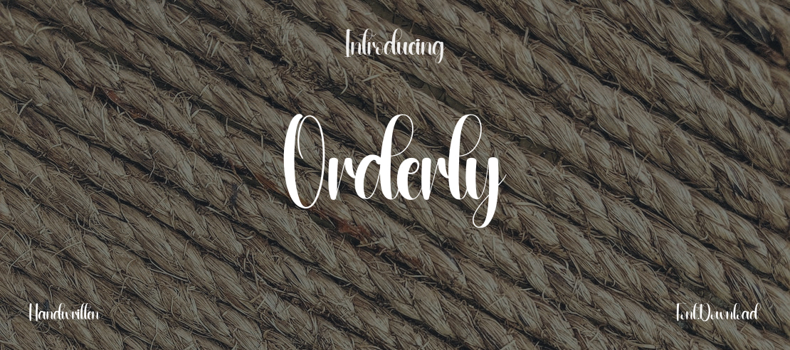 Orderly Font