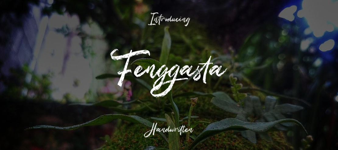 Fenggasta Font Family