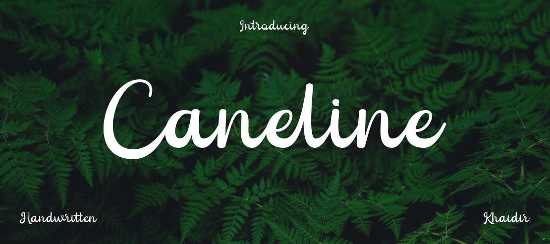 Caneline Font