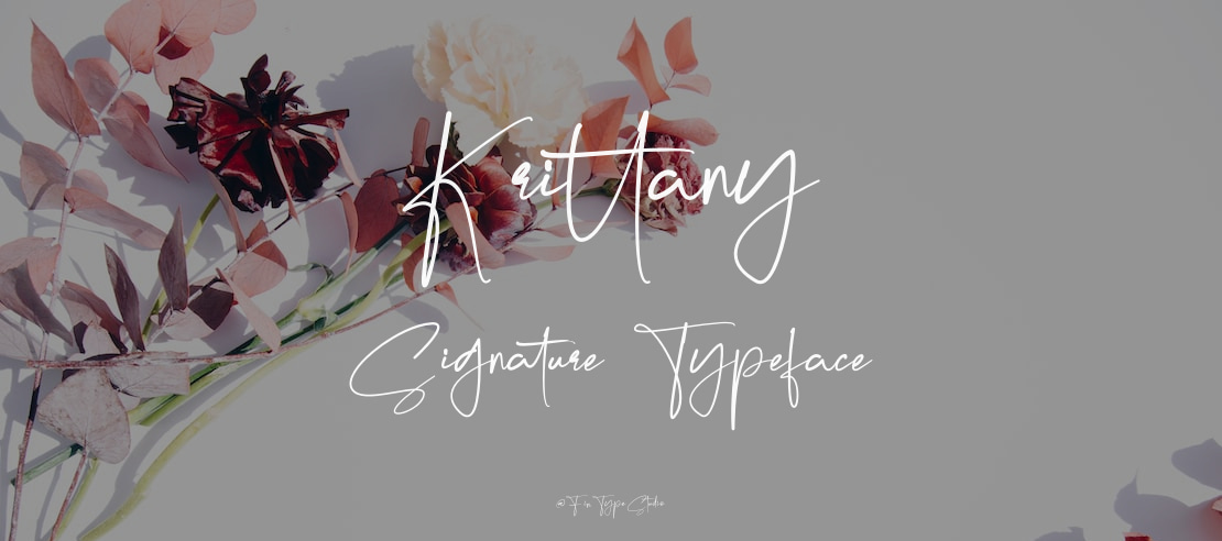 Krittany Signature Font Family