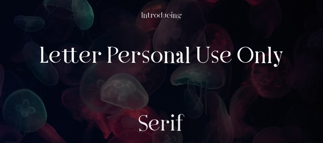 Letter Personal Use Only Font