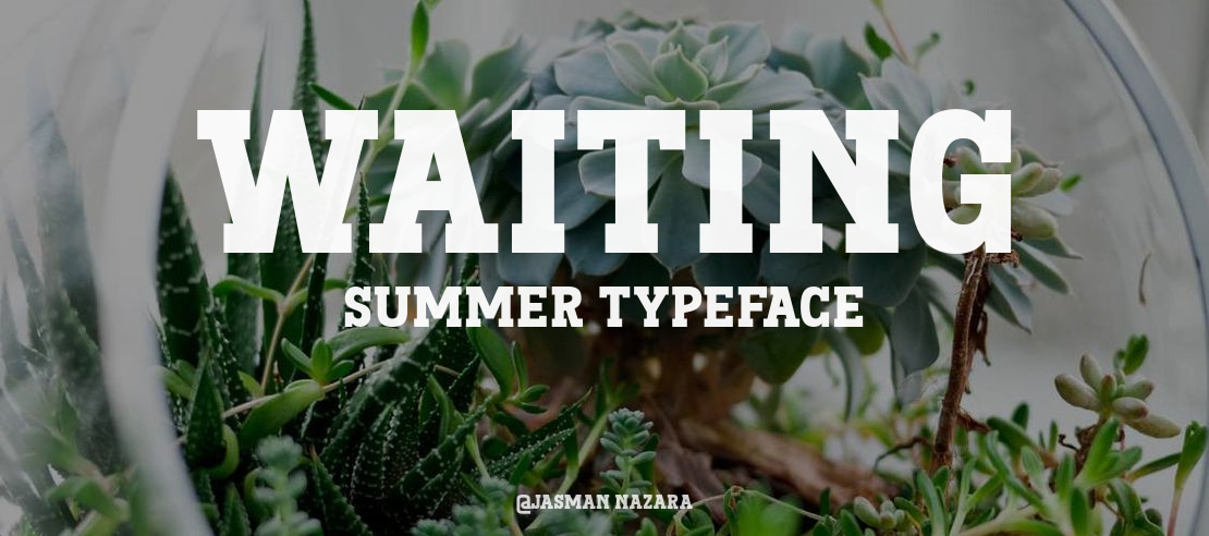 Waiting Summer Font Family