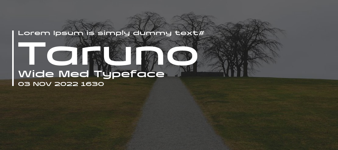 Taruno Wide Med Font Family