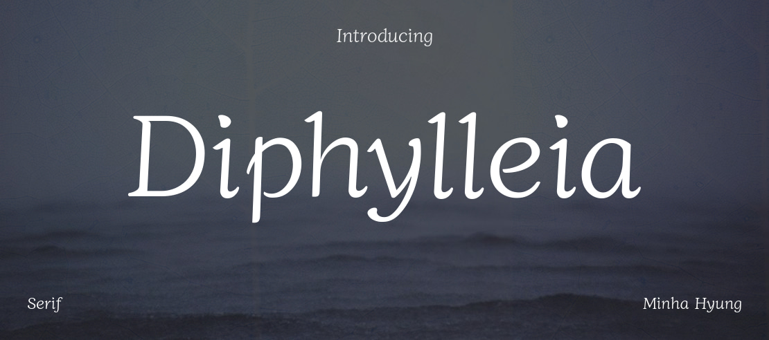 Diphylleia Font