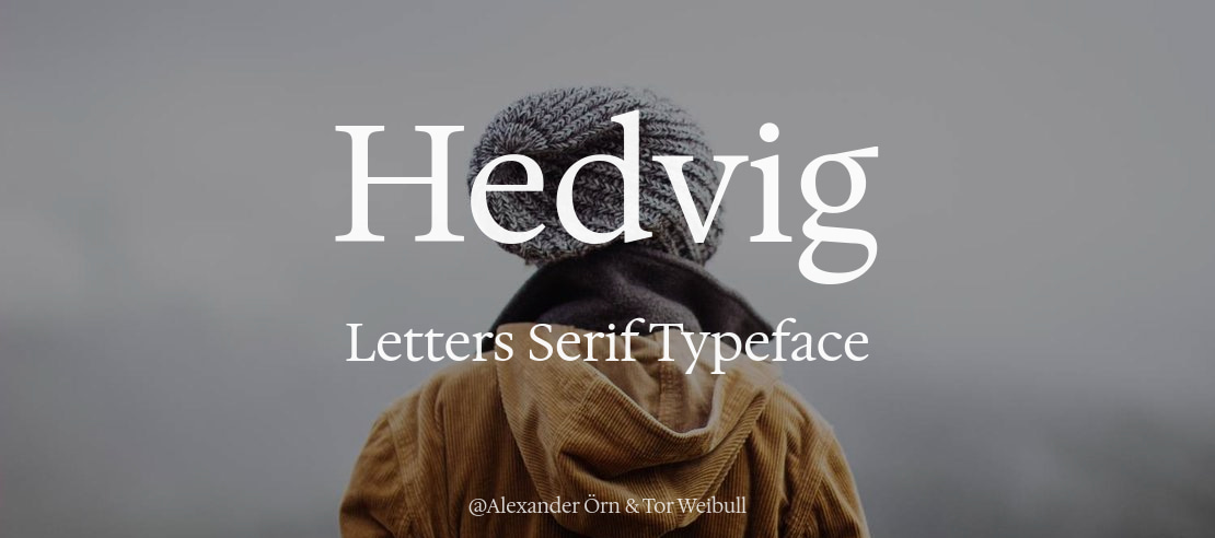 Hedvig Letters Serif Font