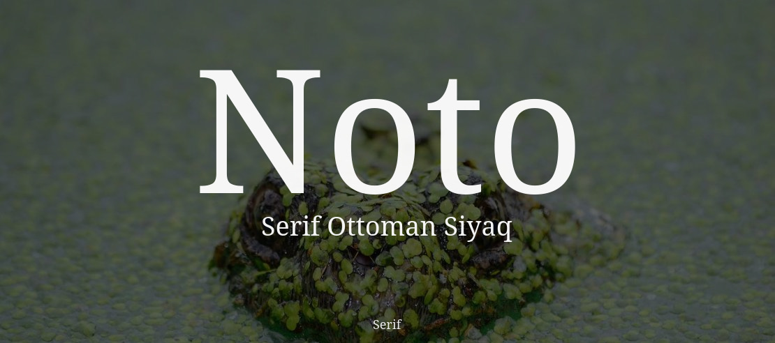 Noto Serif Ottoman Siyaq Font