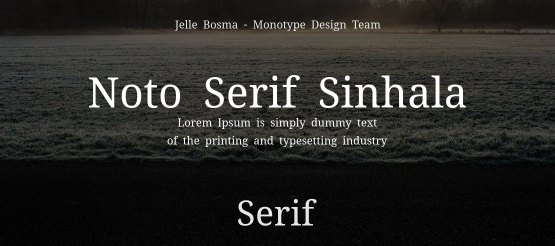 Noto Serif Sinhala Font