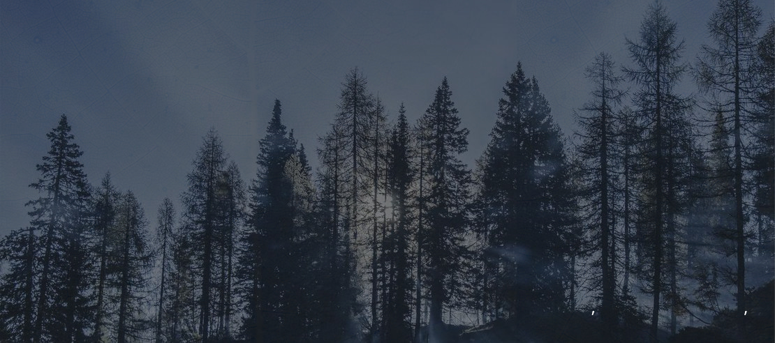 Noto Naskh Arabic UI Font