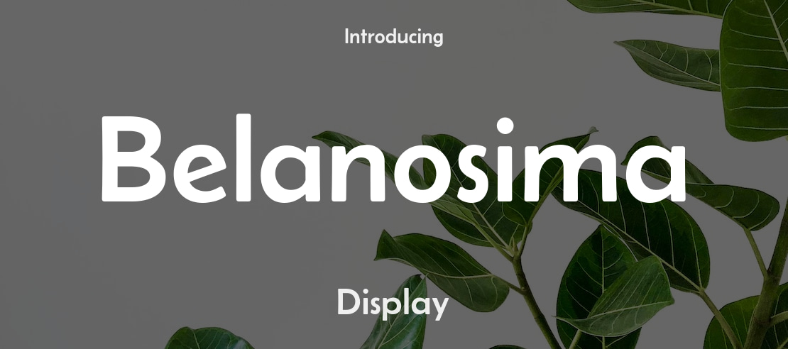 Belanosima Font Family