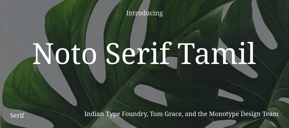 Noto Serif Tamil Font Family