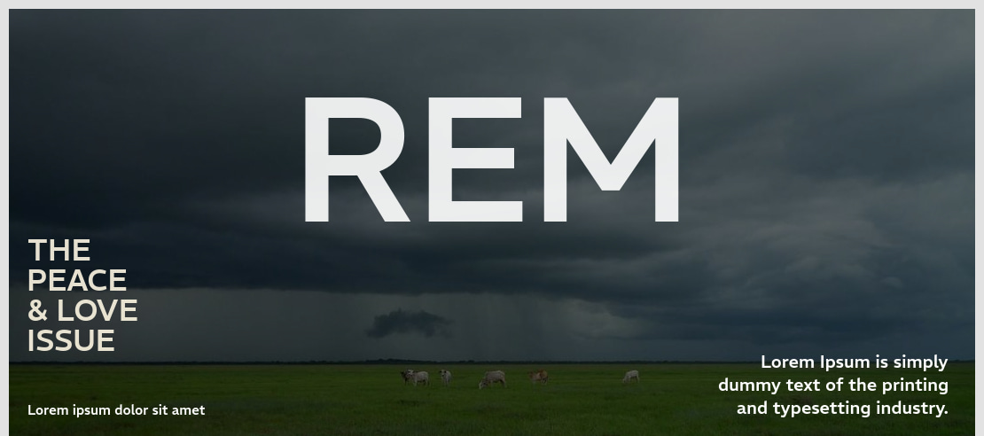 REM Font Family