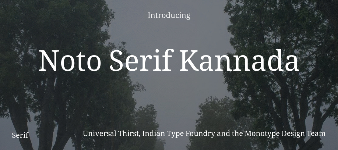 Noto Serif Kannada Font