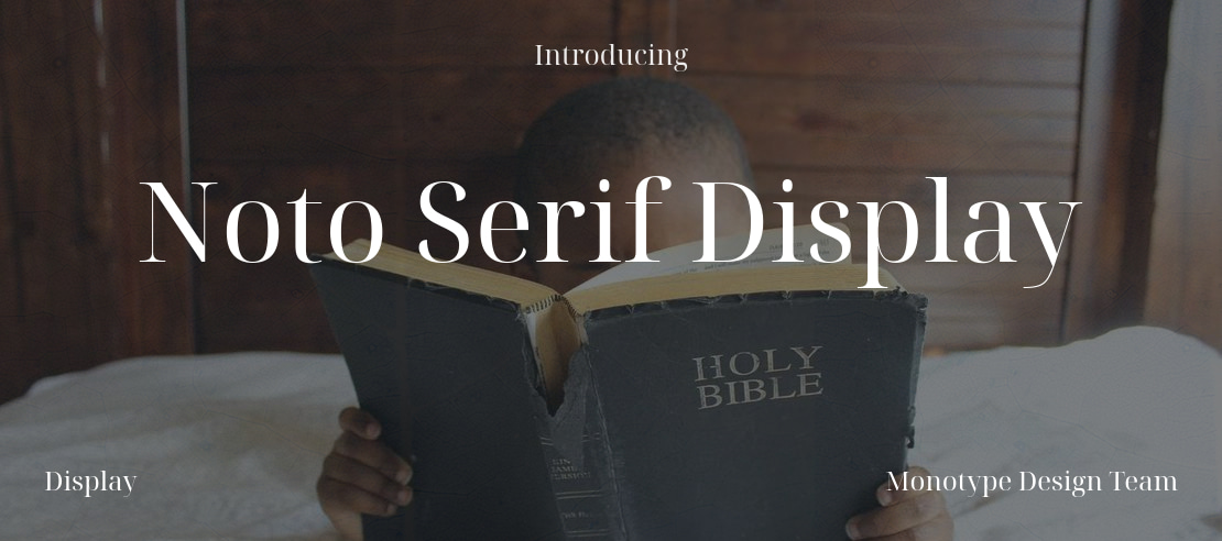 Noto Serif Display Font Family