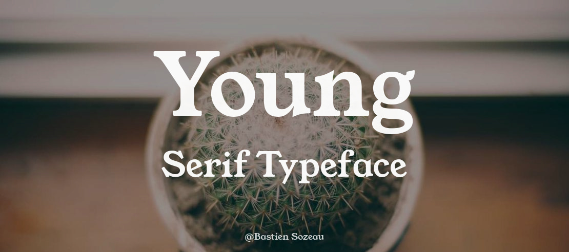 Young Serif Font