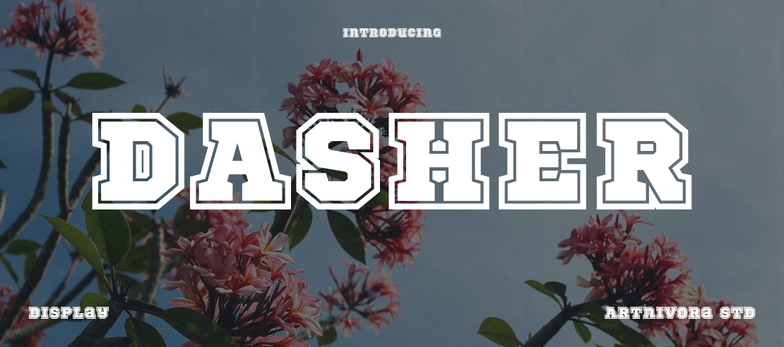 DASHER Font