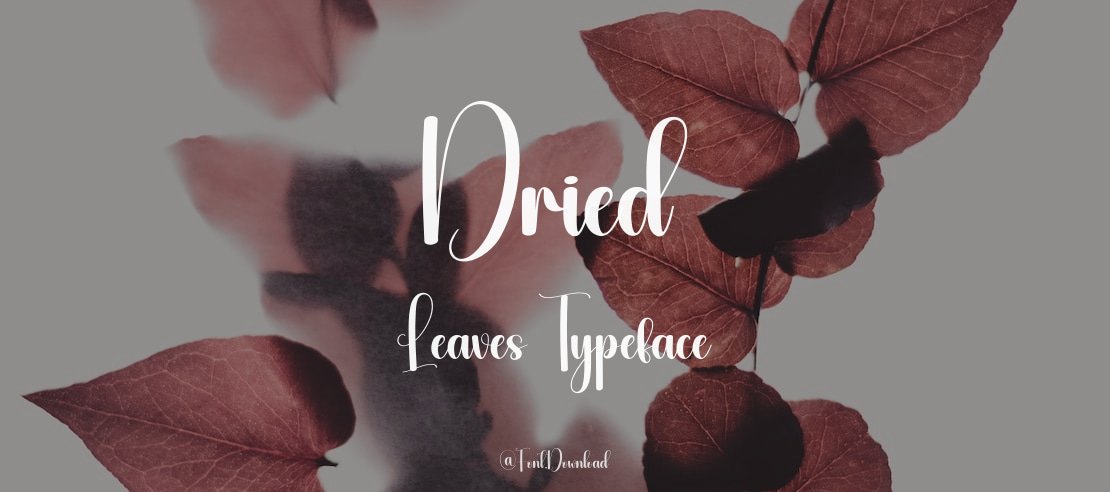 Dried Leaves Font