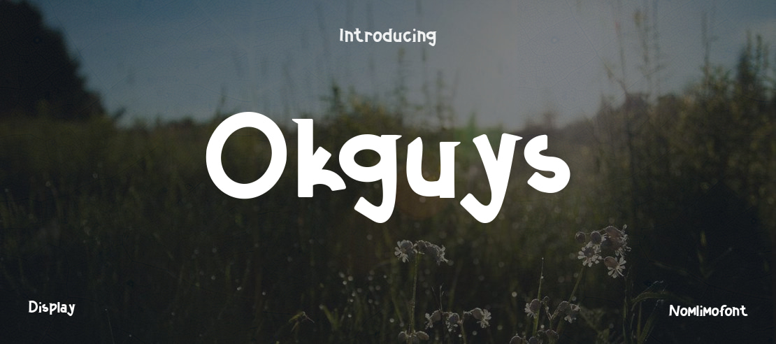 Okguys Font