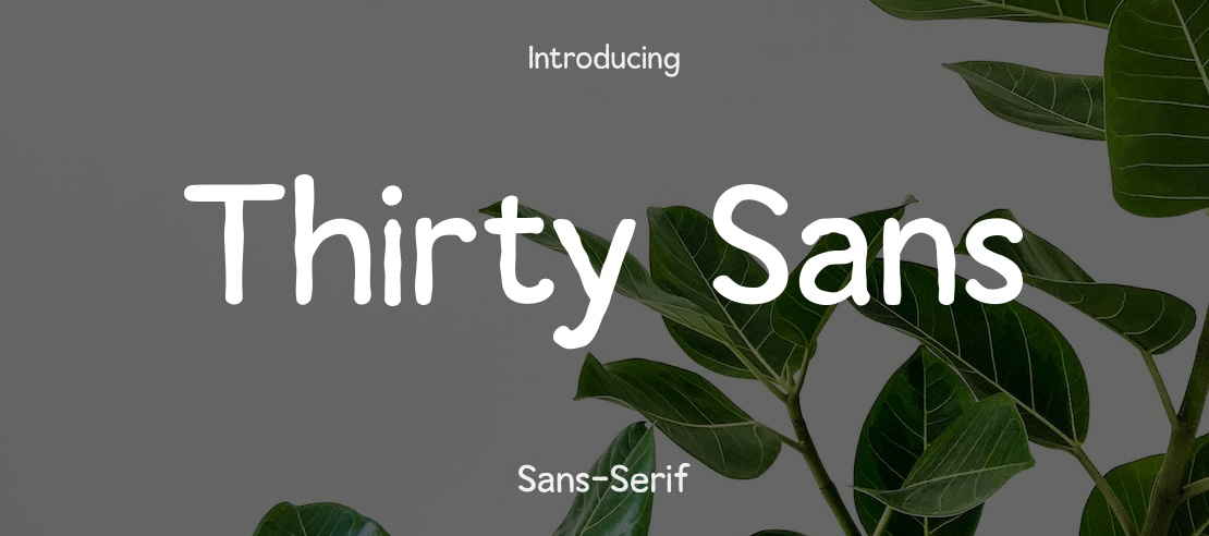 Thirty Sans Font Family