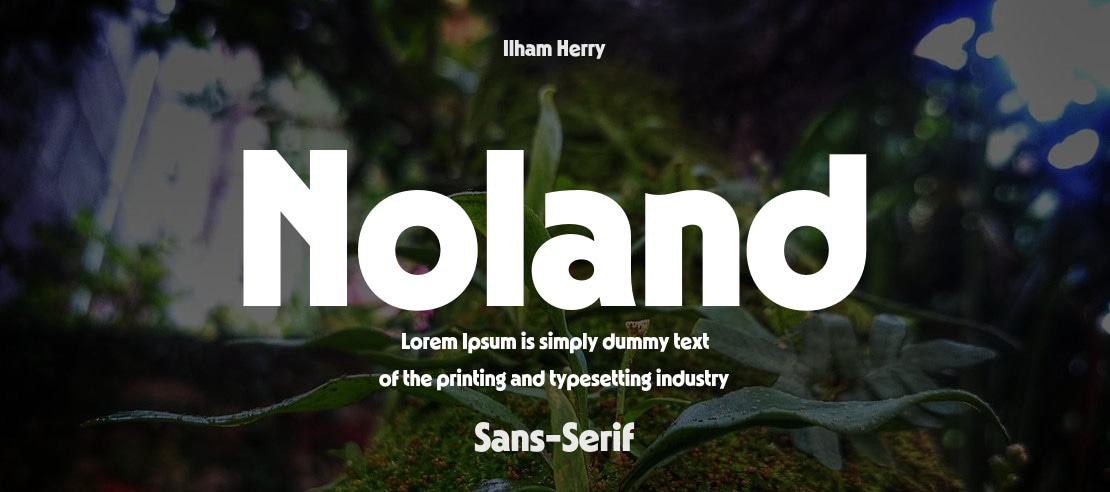 Noland Font