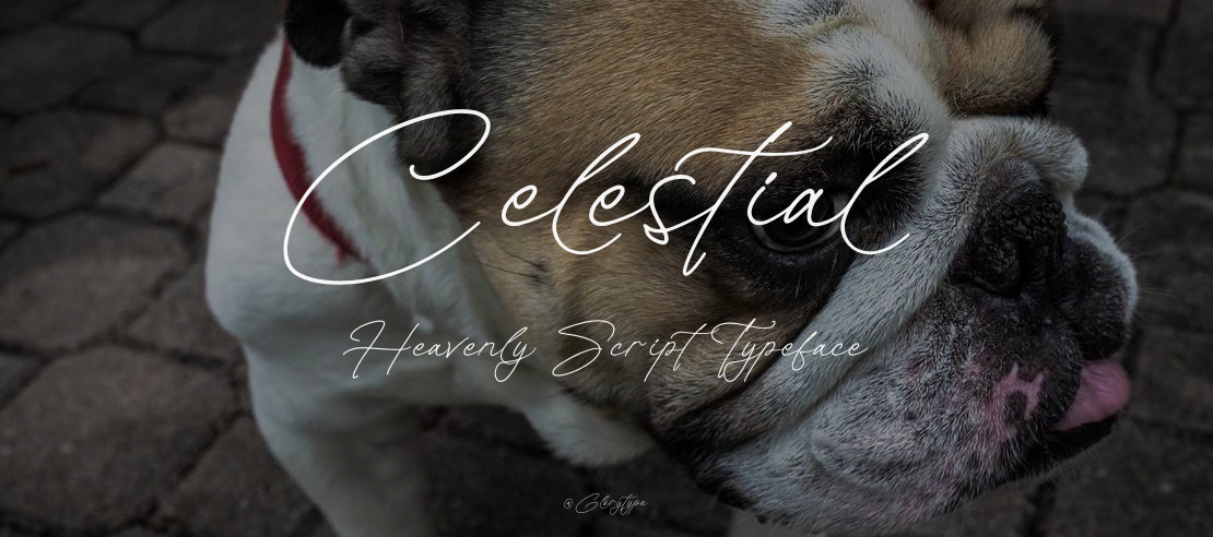 Celestial Heavenly Script Font Family