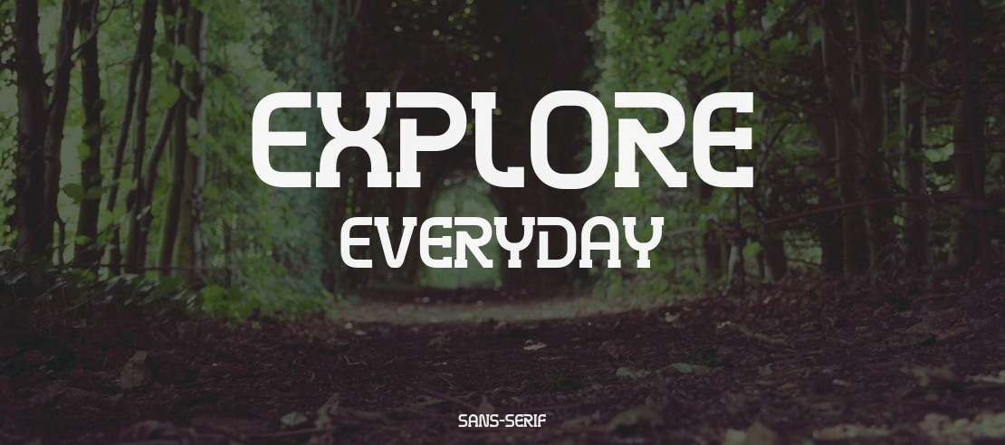 Explore Everyday Font