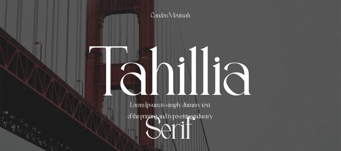 Tahillia Font