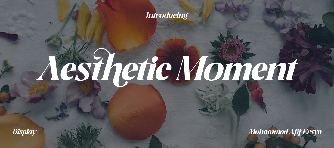 Aesthetic Moment Font