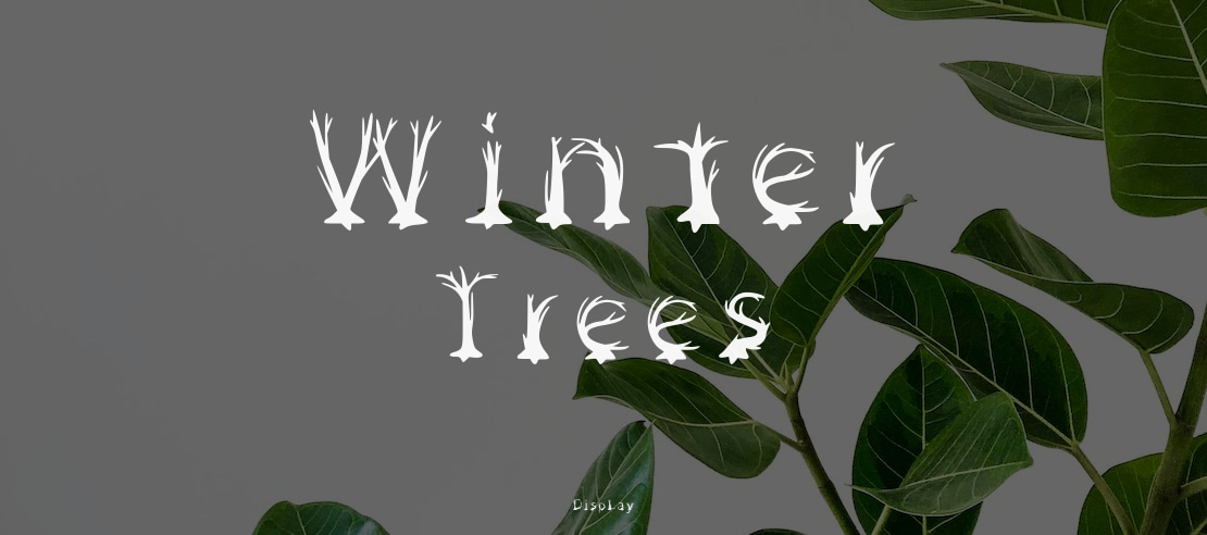 Winter Trees Font