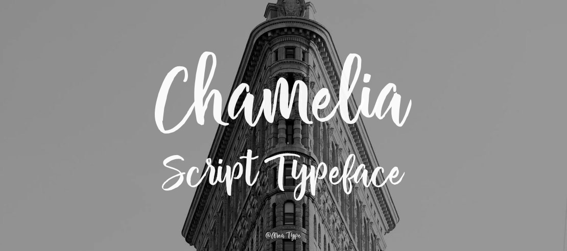 Chamelia Script Font
