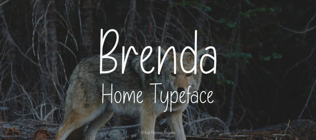 Brenda Home Font