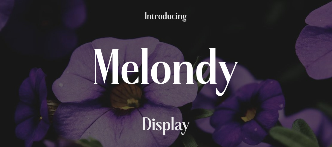 Melondy Font