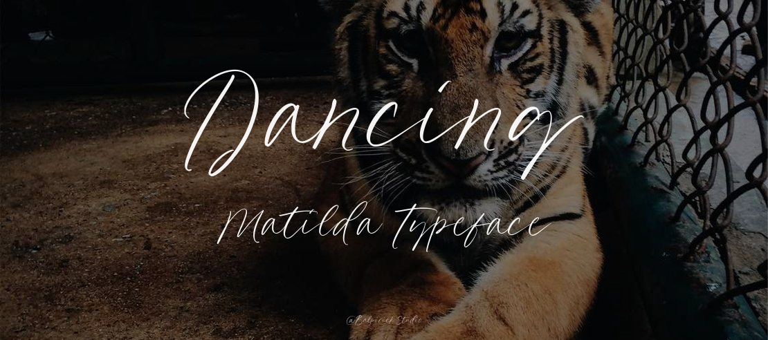 Dancing Matilda Font